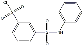 3-(phenylsulfamoyl)benzene-1-sulfonyl chloride Struktur