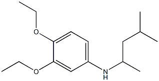 3,4-diethoxy-N-(4-methylpentan-2-yl)aniline Struktur