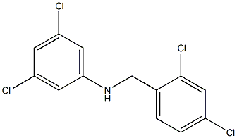 3,5-dichloro-N-[(2,4-dichlorophenyl)methyl]aniline Struktur