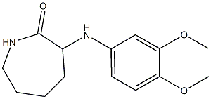 3-[(3,4-dimethoxyphenyl)amino]azepan-2-one Struktur