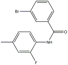 3-bromo-N-(2-fluoro-4-methylphenyl)benzamide Struktur