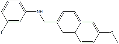 3-iodo-N-[(6-methoxynaphthalen-2-yl)methyl]aniline Struktur