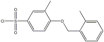 3-methyl-4-[(2-methylphenyl)methoxy]benzene-1-sulfonyl chloride Struktur