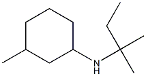 3-methyl-N-(2-methylbutan-2-yl)cyclohexan-1-amine Struktur