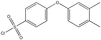 4-(3,4-dimethylphenoxy)benzene-1-sulfonyl chloride Struktur