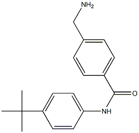 4-(aminomethyl)-N-(4-tert-butylphenyl)benzamide Struktur