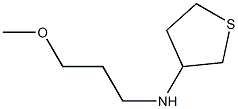 N-(3-methoxypropyl)thiolan-3-amine Struktur