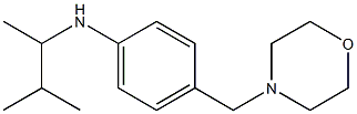 N-(3-methylbutan-2-yl)-4-(morpholin-4-ylmethyl)aniline Struktur