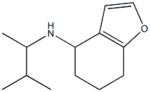 N-(3-methylbutan-2-yl)-4,5,6,7-tetrahydro-1-benzofuran-4-amine Struktur