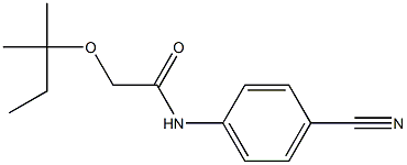 N-(4-cyanophenyl)-2-[(2-methylbutan-2-yl)oxy]acetamide Struktur