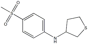 N-(4-methanesulfonylphenyl)thiolan-3-amine Struktur