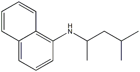 N-(4-methylpentan-2-yl)naphthalen-1-amine Struktur