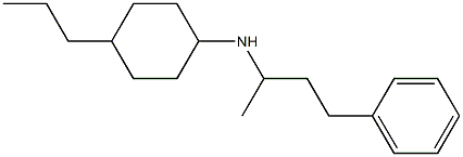 N-(4-phenylbutan-2-yl)-4-propylcyclohexan-1-amine Struktur