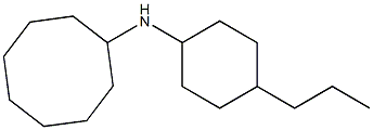 N-(4-propylcyclohexyl)cyclooctanamine Struktur