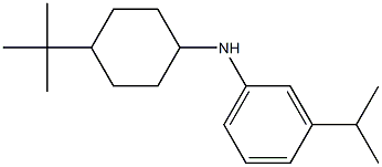 N-(4-tert-butylcyclohexyl)-3-(propan-2-yl)aniline Struktur