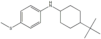 N-(4-tert-butylcyclohexyl)-4-(methylsulfanyl)aniline Struktur