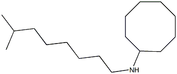 N-(7-methyloctyl)cyclooctanamine Struktur