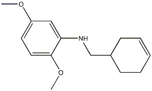 N-(cyclohex-3-en-1-ylmethyl)-2,5-dimethoxyaniline Struktur