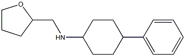 N-(oxolan-2-ylmethyl)-4-phenylcyclohexan-1-amine Struktur