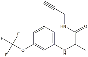 N-(prop-2-yn-1-yl)-2-{[3-(trifluoromethoxy)phenyl]amino}propanamide Struktur