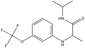 N-(propan-2-yl)-2-{[3-(trifluoromethoxy)phenyl]amino}propanamide Struktur