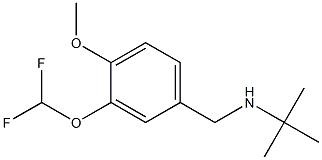 N-(tert-butyl)-N-[3-(difluoromethoxy)-4-methoxybenzyl]amine Struktur