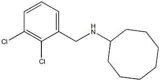 N-[(2,3-dichlorophenyl)methyl]cyclooctanamine Struktur