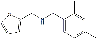 N-[1-(2,4-dimethylphenyl)ethyl]-N-(2-furylmethyl)amine Struktur