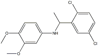 N-[1-(2,5-dichlorophenyl)ethyl]-3,4-dimethoxyaniline Struktur