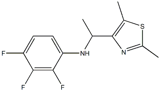 N-[1-(2,5-dimethyl-1,3-thiazol-4-yl)ethyl]-2,3,4-trifluoroaniline Struktur