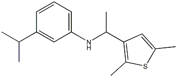 N-[1-(2,5-dimethylthiophen-3-yl)ethyl]-3-(propan-2-yl)aniline Struktur