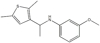 N-[1-(2,5-dimethylthiophen-3-yl)ethyl]-3-methoxyaniline Struktur