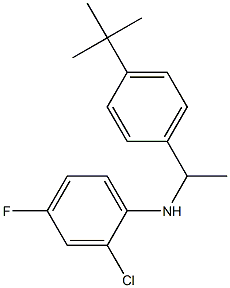 N-[1-(4-tert-butylphenyl)ethyl]-2-chloro-4-fluoroaniline Struktur