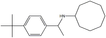 N-[1-(4-tert-butylphenyl)ethyl]cyclooctanamine Struktur