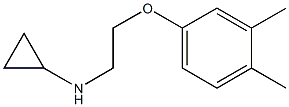 N-[2-(3,4-dimethylphenoxy)ethyl]cyclopropanamine Struktur