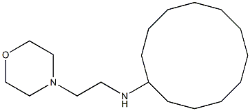 N-[2-(morpholin-4-yl)ethyl]cyclododecanamine Struktur