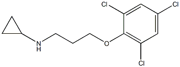 N-[3-(2,4,6-trichlorophenoxy)propyl]cyclopropanamine Struktur