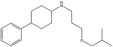 N-[3-(2-methylpropoxy)propyl]-4-phenylcyclohexan-1-amine Struktur