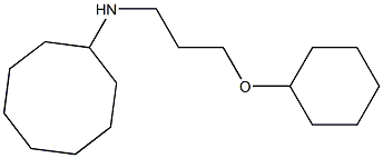 N-[3-(cyclohexyloxy)propyl]cyclooctanamine Struktur