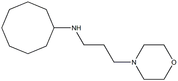 N-[3-(morpholin-4-yl)propyl]cyclooctanamine Struktur