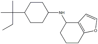 N-[4-(2-methylbutan-2-yl)cyclohexyl]-4,5,6,7-tetrahydro-1-benzofuran-4-amine Struktur