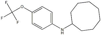 N-[4-(trifluoromethoxy)phenyl]cyclooctanamine Struktur