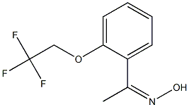 N-{1-[2-(2,2,2-trifluoroethoxy)phenyl]ethylidene}hydroxylamine Struktur