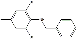 N-benzyl-2,6-dibromo-4-methylaniline Struktur