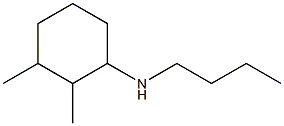 N-butyl-2,3-dimethylcyclohexan-1-amine Struktur