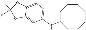 N-cyclooctyl-2,2-difluoro-2H-1,3-benzodioxol-5-amine Struktur