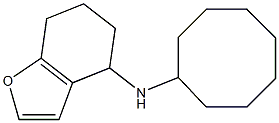 N-cyclooctyl-4,5,6,7-tetrahydro-1-benzofuran-4-amine Struktur