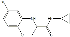 N-cyclopropyl-2-[(2,5-dichlorophenyl)amino]propanamide Struktur