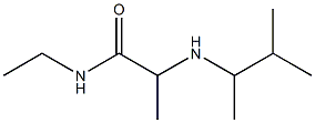 N-ethyl-2-[(3-methylbutan-2-yl)amino]propanamide Struktur