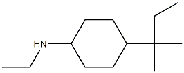 N-ethyl-4-(2-methylbutan-2-yl)cyclohexan-1-amine Struktur